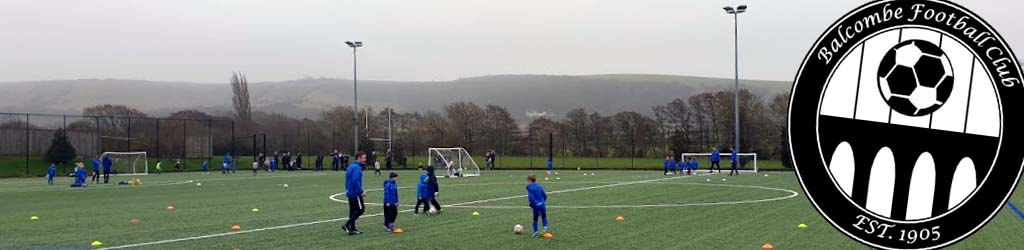 Hassocks Sports Centre 3G